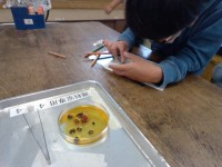 色の変化を忠実に記録します