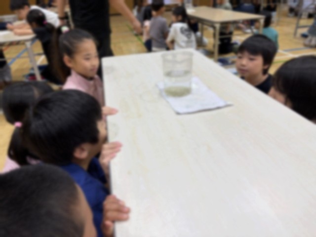 薬剤を使って水をろ過する実験