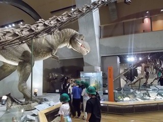 自然史博物館