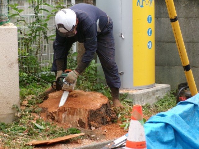 最後は、きれいに表面を削っていただきました。