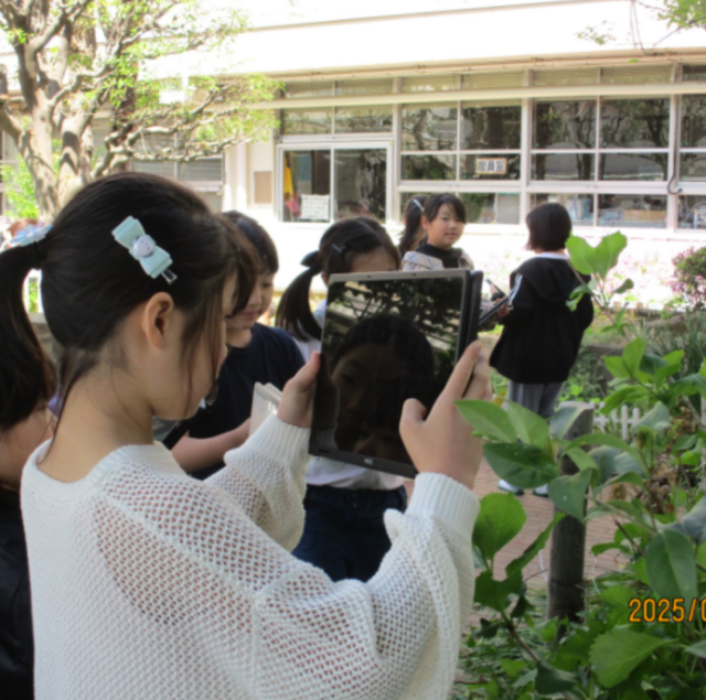 4月　春の生き物