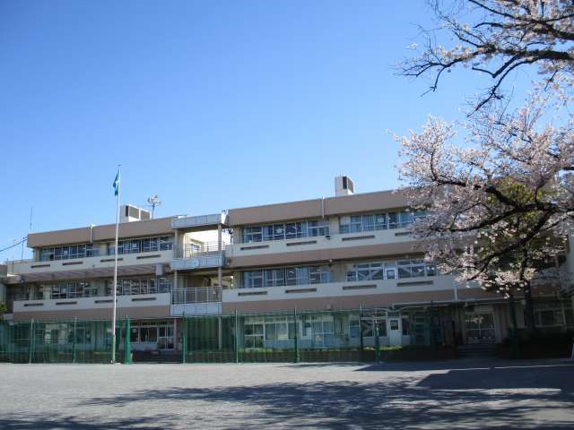 校舎桜２
