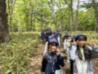 戦場ヶ原ハイキング①