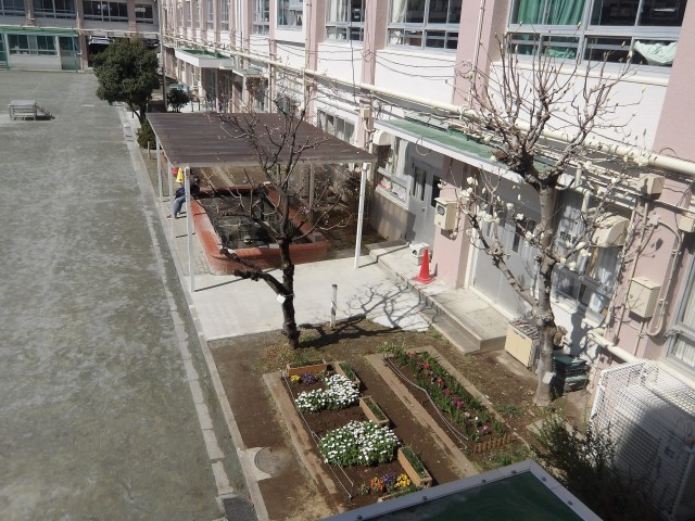 ７０周年花壇（上から）