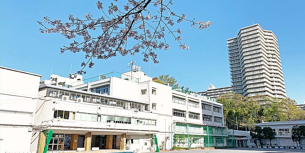 サクラと校舎.jpg
