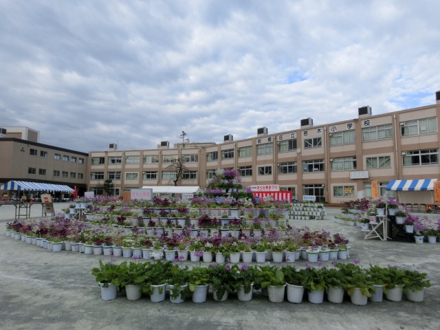 CIMG8563.JPG