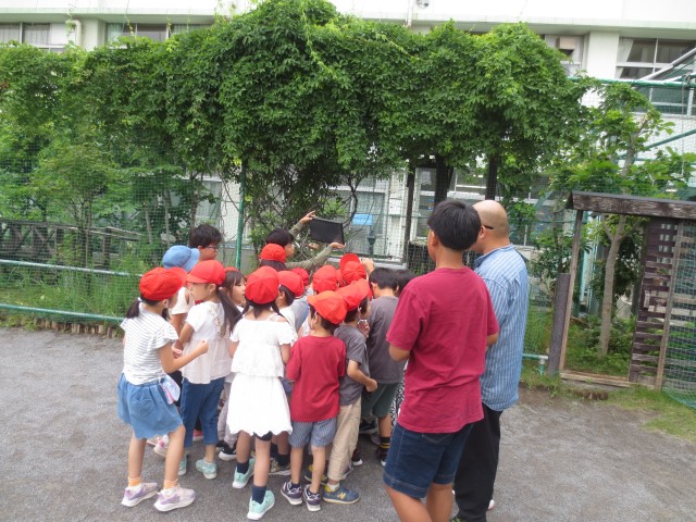 IMG_6939.JPG