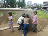 何か見えるかな？