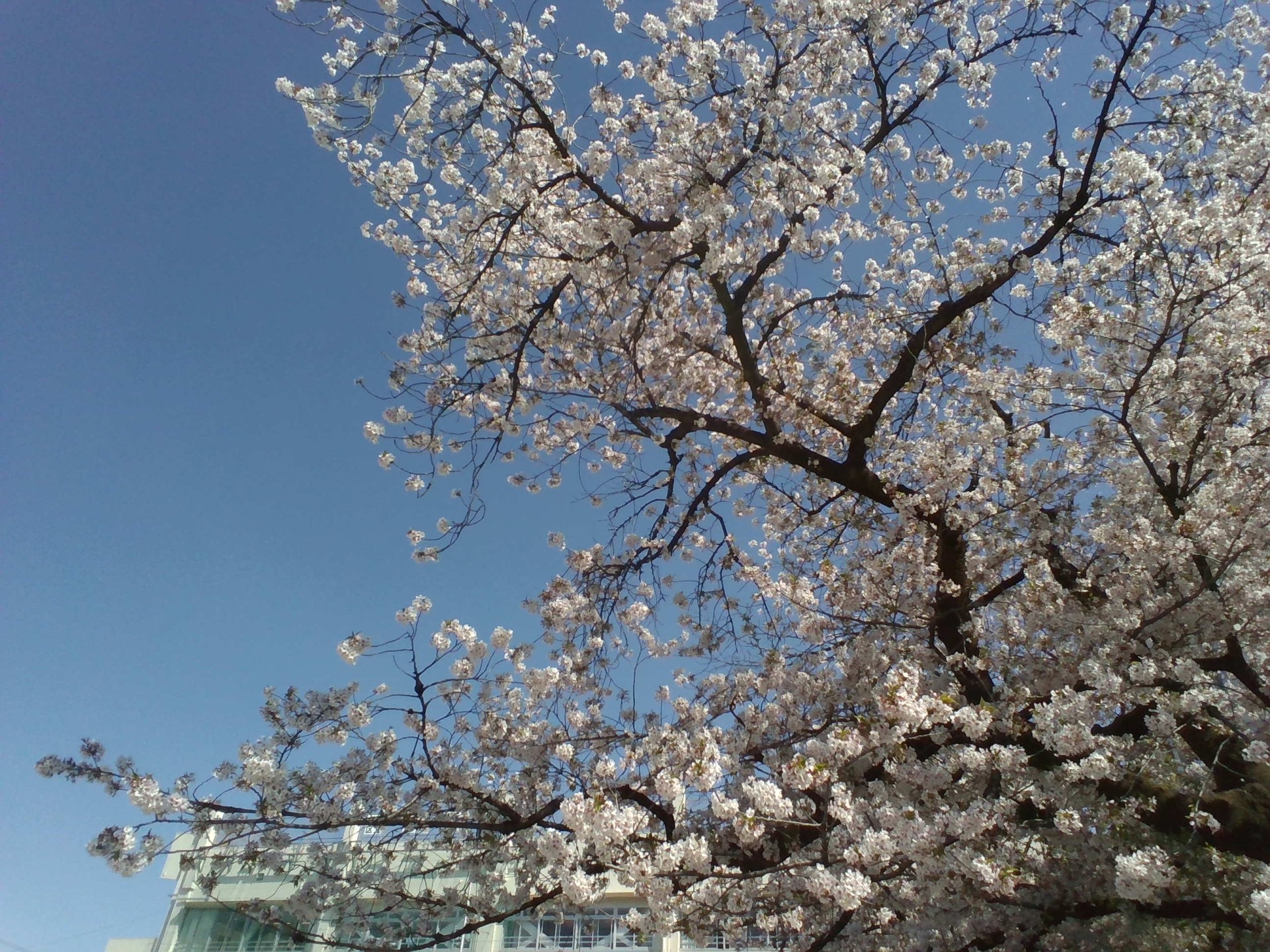 IMG_20250409_085714.jpg