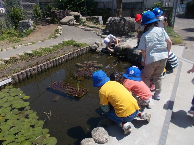 さくら池の生き物に興味津々