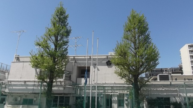 DSCF1847.JPG