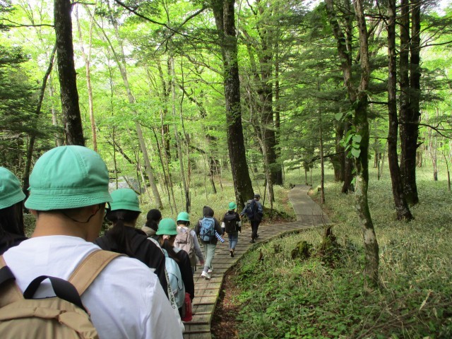 戦場ヶ原ハイキング