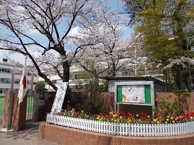 桜の花が咲く中で、入学式の日を迎えました。た。