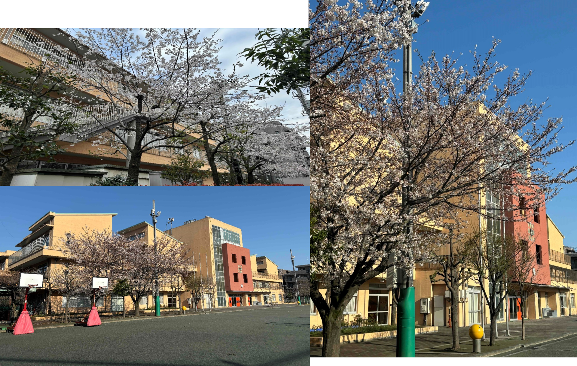 画像1.png