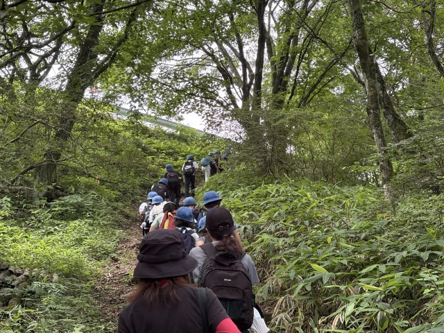 ハイキング