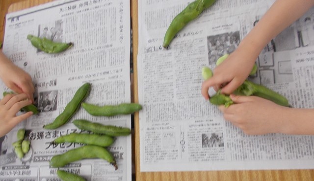 さやむきをしているところ