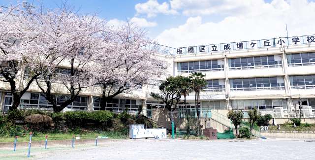 校舎・桜①