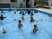 水泳の様子