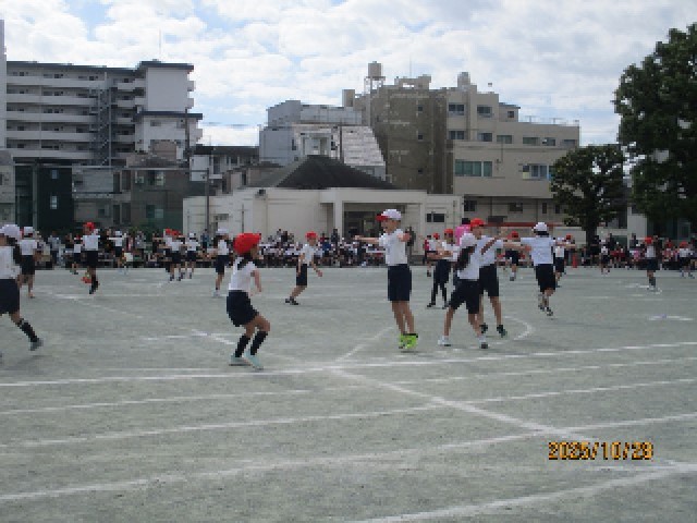 体育学習発表会
