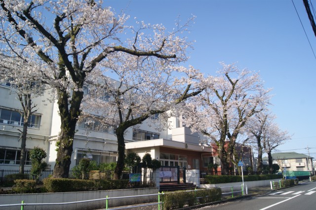 DSC08603.JPG
