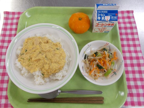 DSCN0505.JPG