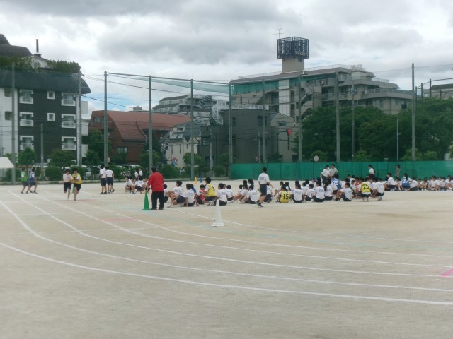 ９年生