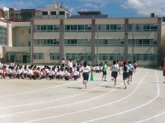 ７年生