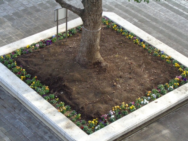 DSC00376.JPG