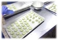 白玉粉・上新粉・よもぎを混ぜて練り上げ、１個ずつ丸めます。