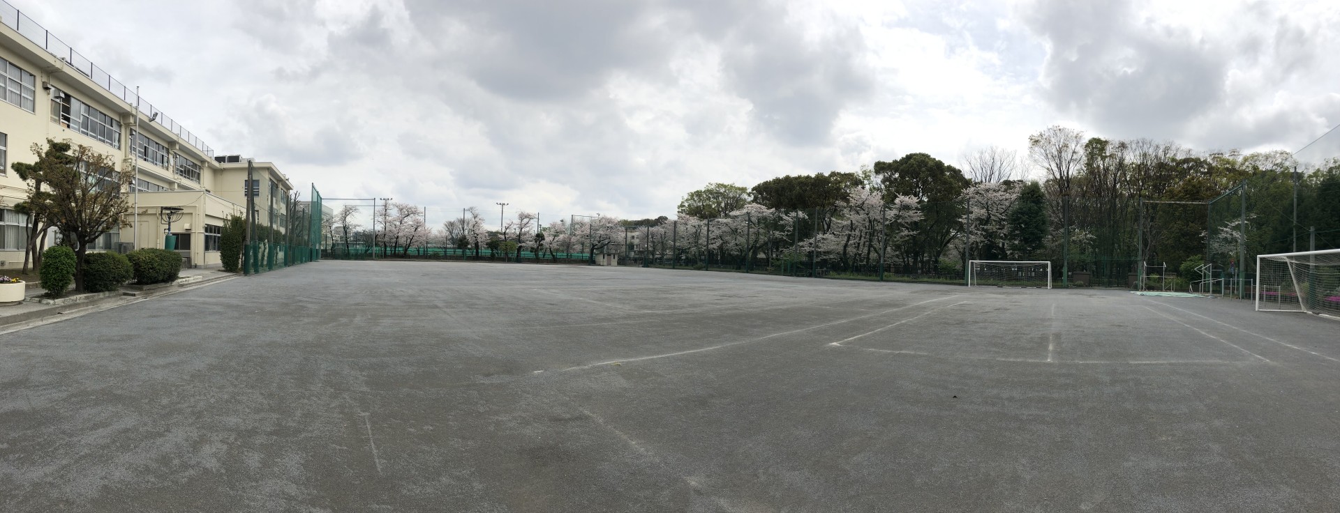 校庭パノラマ