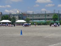 ７年生 新河岸川下り