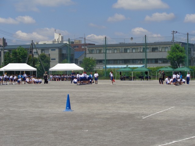 ７年生 新河岸川下り