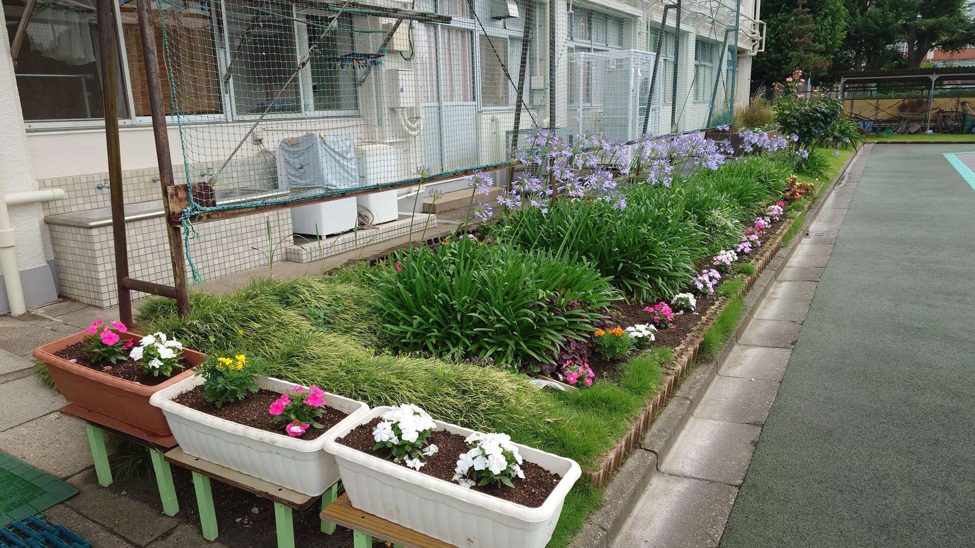 R070616 植栽後.JPG
