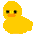 ahiru.gif